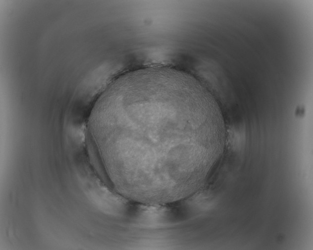 X0000111810621200908131501