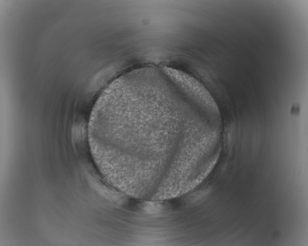 X0000111810623200908131500