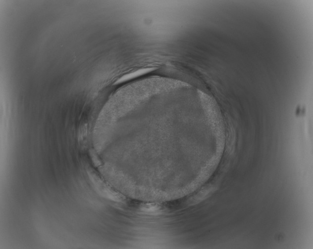 X0000111810624200908131500