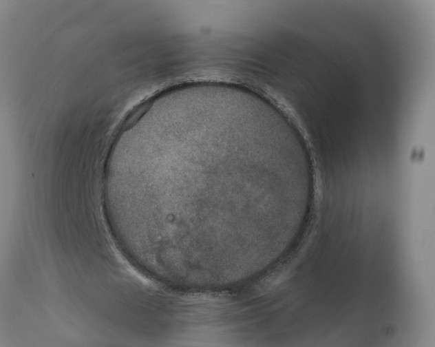 X0000111810625200908131500