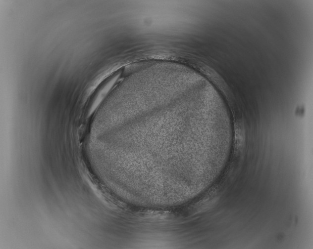 X0000111810626200908131500