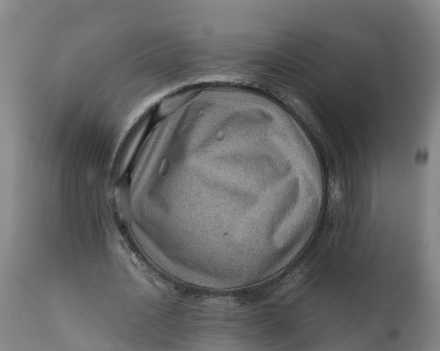 X0000111810628200908131500