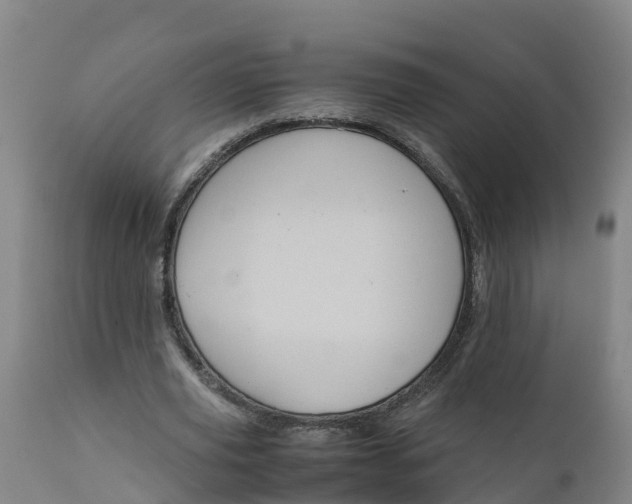 X0000111810629200908131500