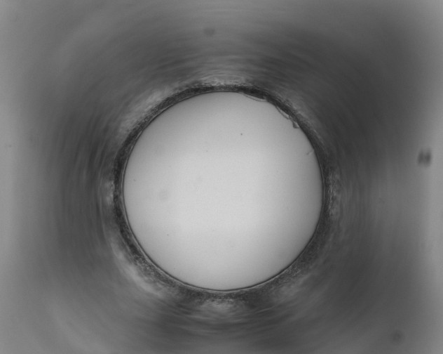 X0000111810631200908131500