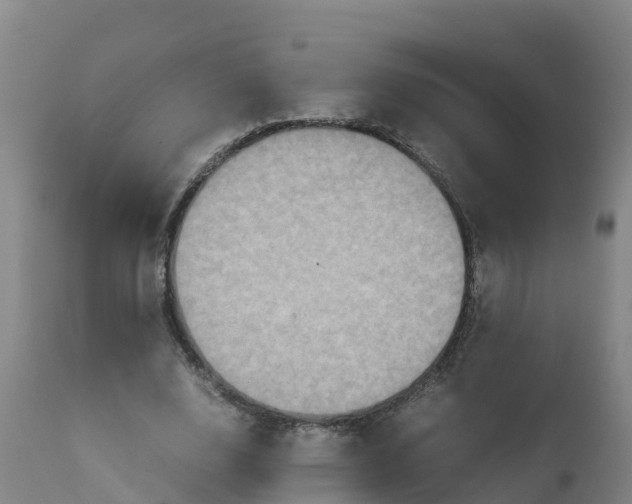 X0000111810632200908131500