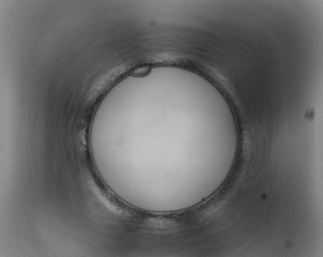 X0000111810633200908131500