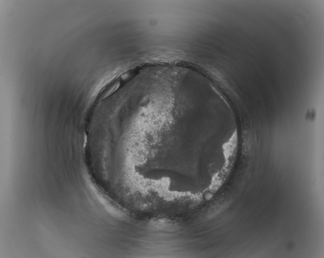 X0000111810634200908131500