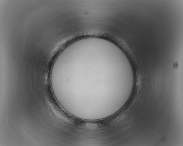 X0000111810636200908131500
