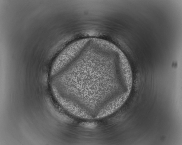 X0000111810639200908131500