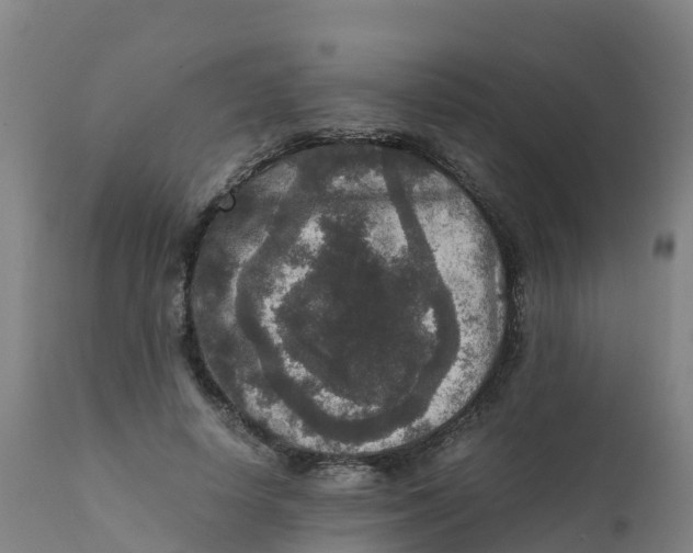 X0000111810642200908131500
