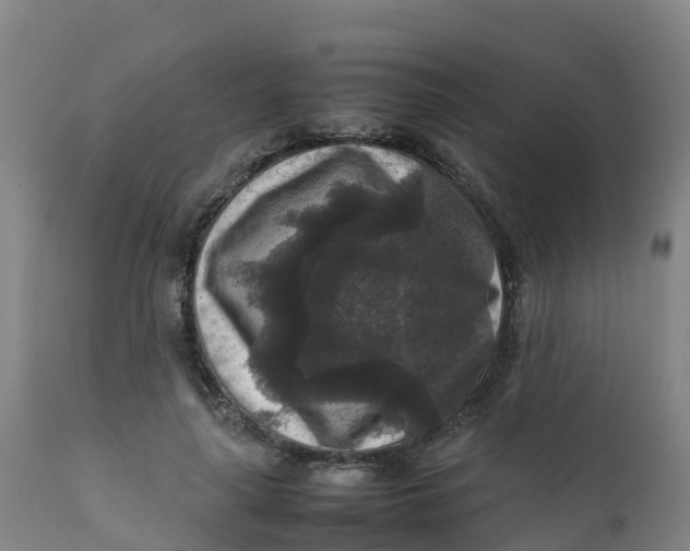 X0000111810643200908131500