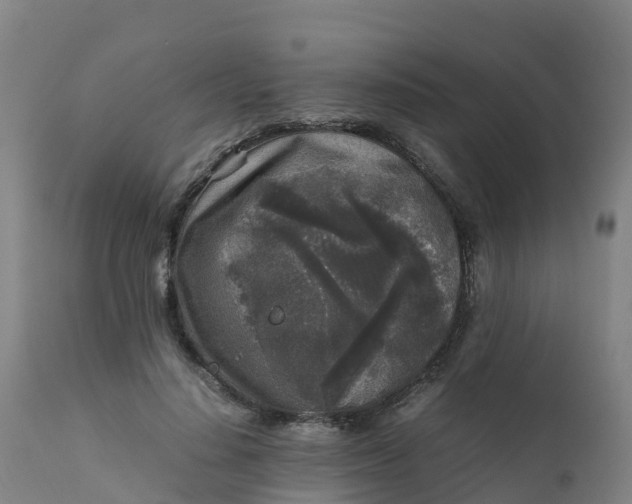 X0000111810644200908131500