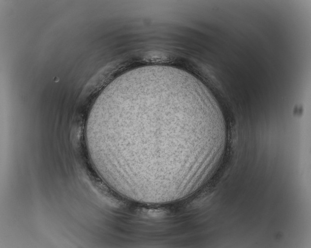 X0000111810645200908131500