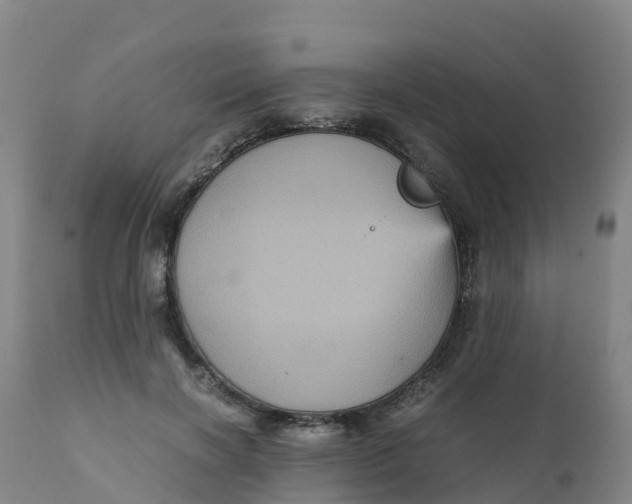 X0000111810646200908131500