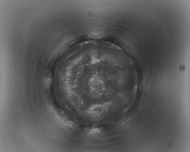 X0000111810647200908131500