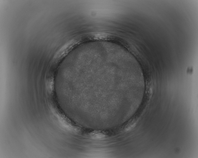 X0000111810648200908131500