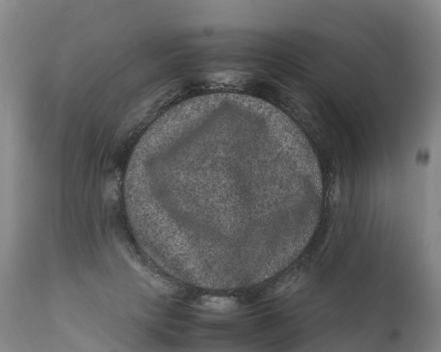 X0000111810649200908131500