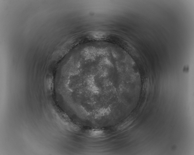 X0000111810651200908131500