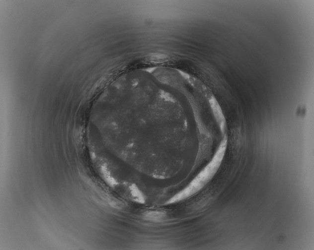X0000111810653200908131500