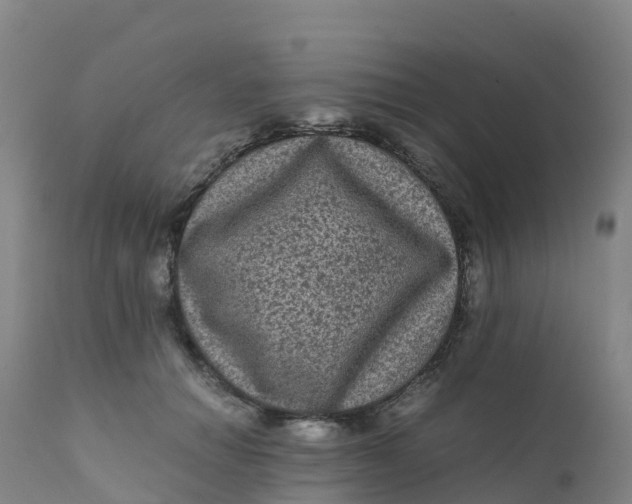 X0000111810654200908131500