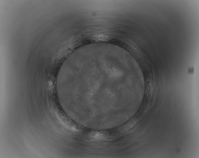 X0000111810655200908131500