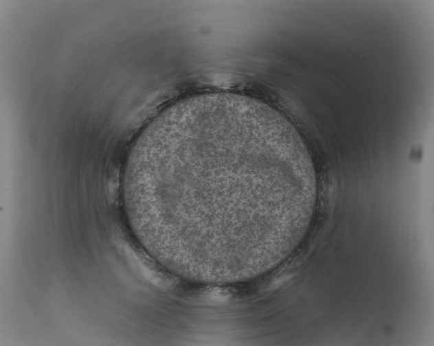 X0000111810656200908131500