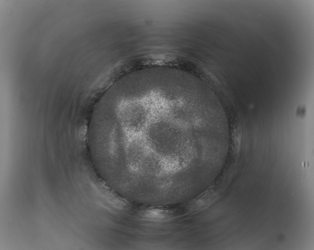 X0000111810657200908131500