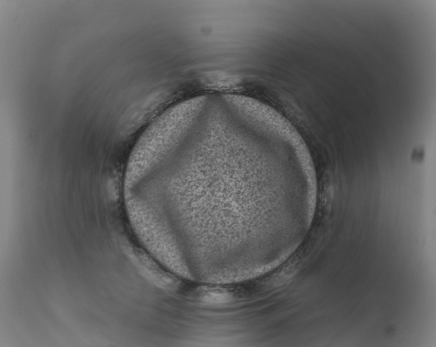 X0000111810658200908131500