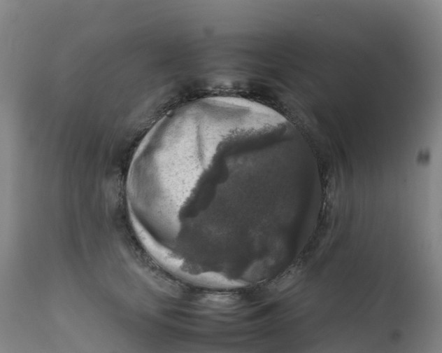 X0000111810659200908131500