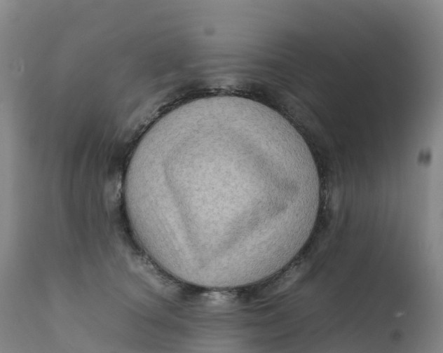 X0000111810660200908131500