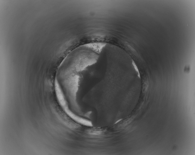 X0000111810661200908131500