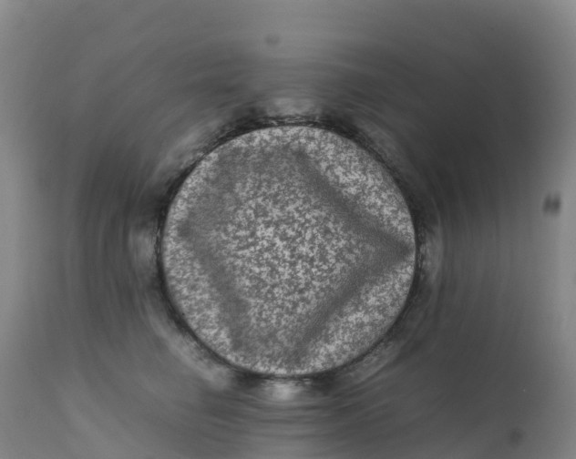 X0000111810662200908131500