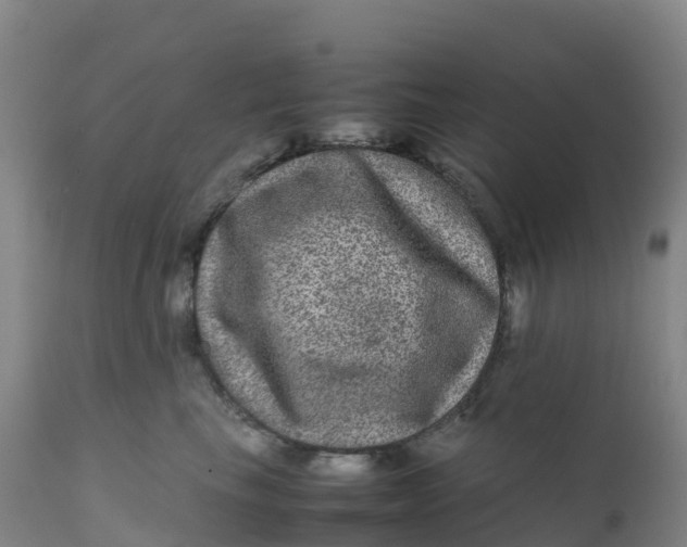 X0000111810665200908131500