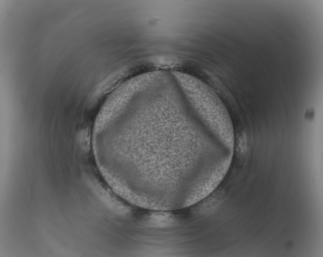 X0000111810666200908131500