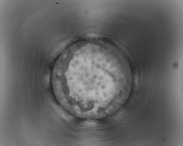 X0000111810668200908131500