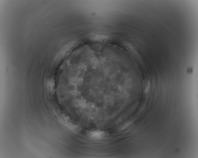 X0000111810669200908131500
