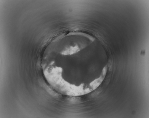X0000111810670200908131500
