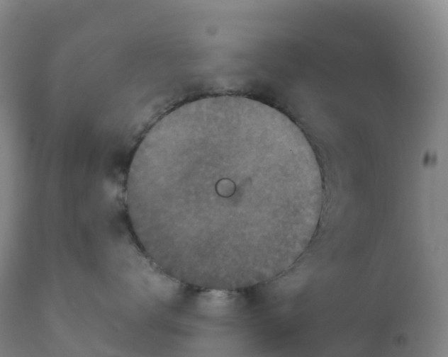 X0000111810672200908131500