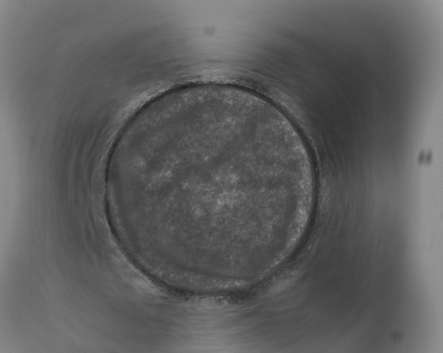 X0000111810673200908131500