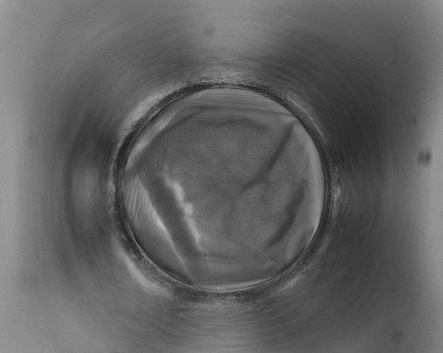 X0000111810674200908131500