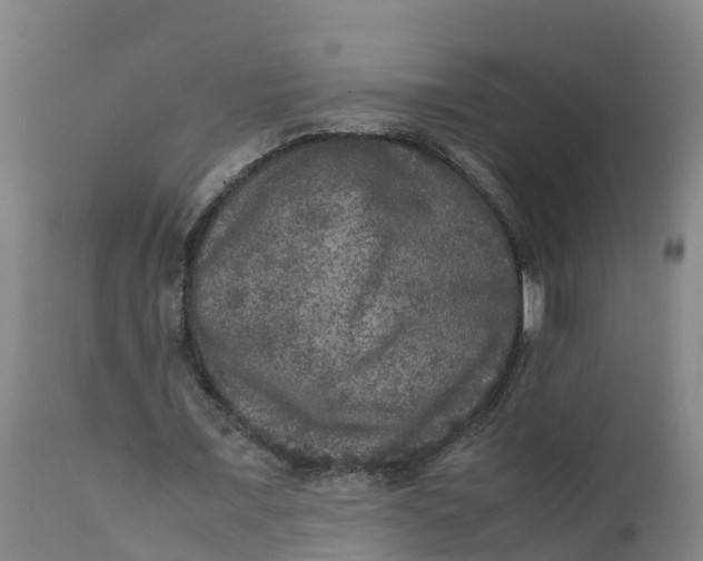 X0000111810675200908131500
