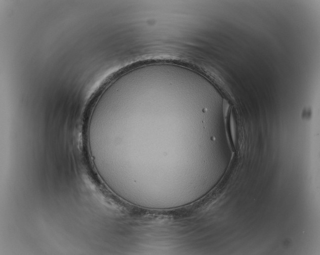 X0000111810676200908131500