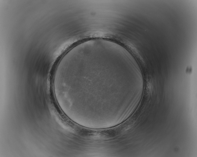 X0000111810678200908131500