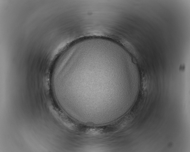 X0000111810680200908131500