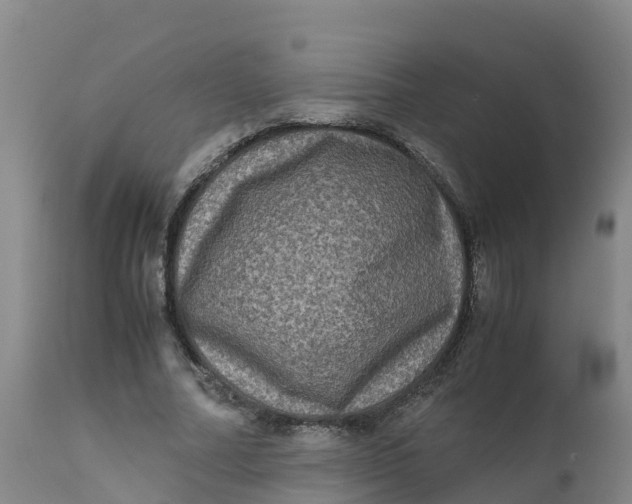 X0000111810682200908131459