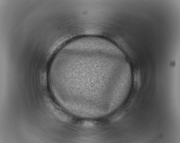 X0000111810684200908131459
