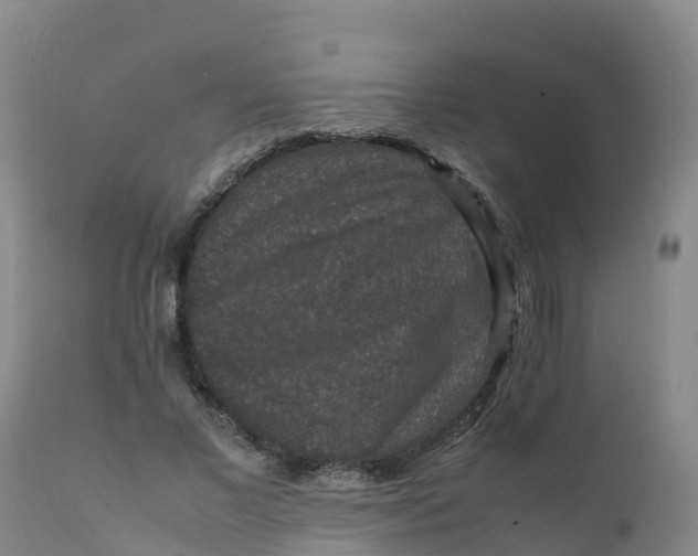 X0000111810685200908131459