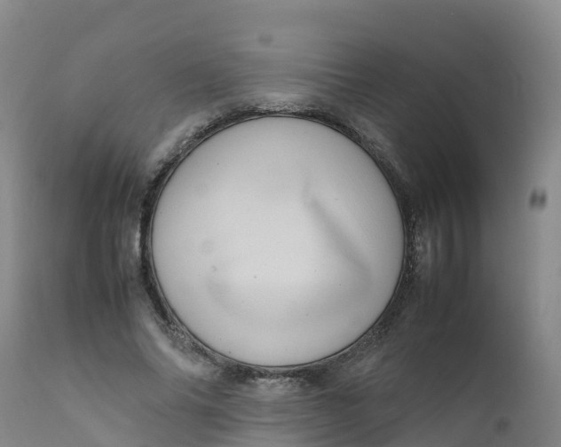 X0000111810686200908131459