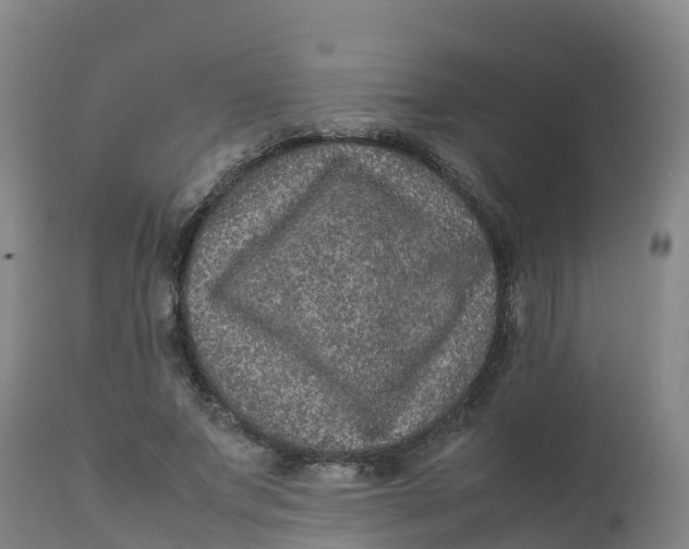 X0000111810687200908131459