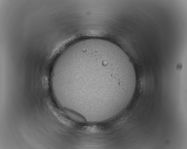 X0000111810688200908131459